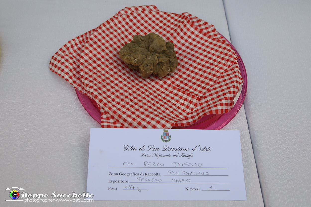 VBS_7147 - Fiera Nazionale del Tartufo e dei Santi 2022.jpg